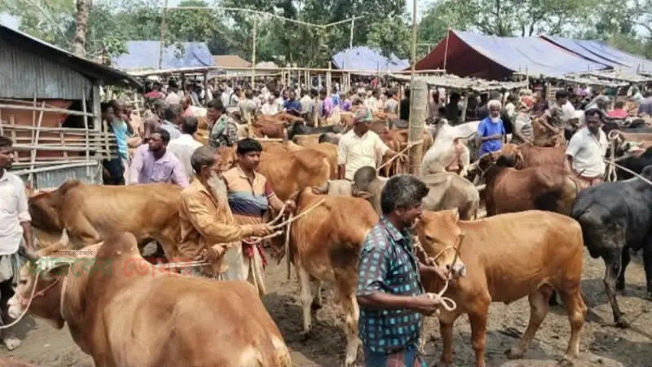 ডোমারে হাটে পশু বিক্রির রশিদে অতিরিক্ত টাকা তোলার অভিযোগ