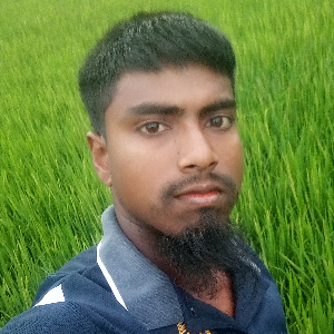 মোঃ রফিক